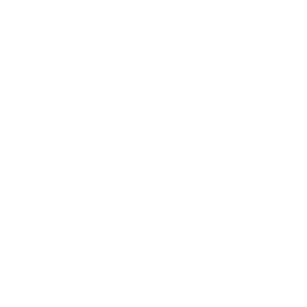 Adidas et allison pineau